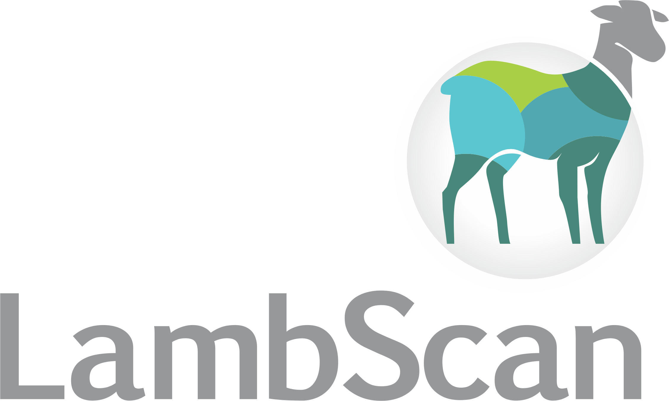 LambScan