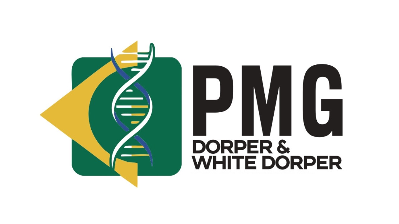 PMG Dorper & White Dorper